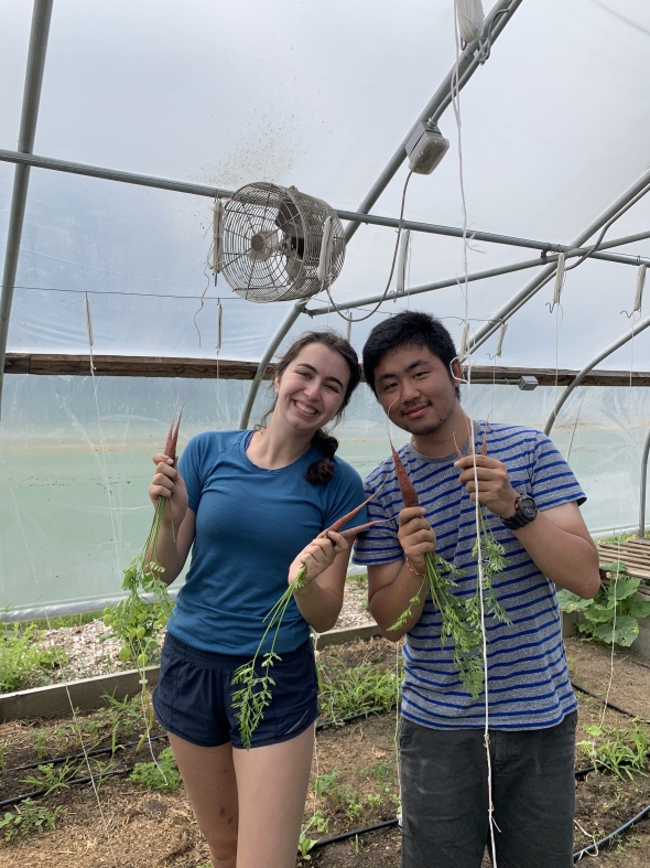 two people posing in a hoop house with carrots