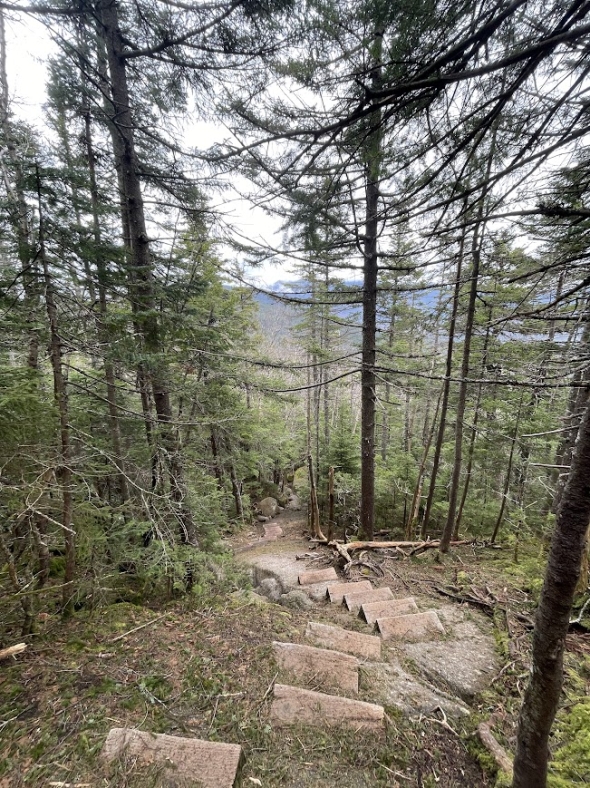 a picture of the Mt. Kinsman trail