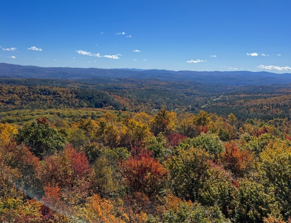 A scenic view of fall foliage framing a glistening blue sky as colorful red, yellow, and orange trees glitter in the distance.