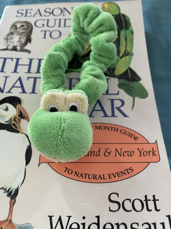 a picture of the frog scrunchie Farrar left Kalina