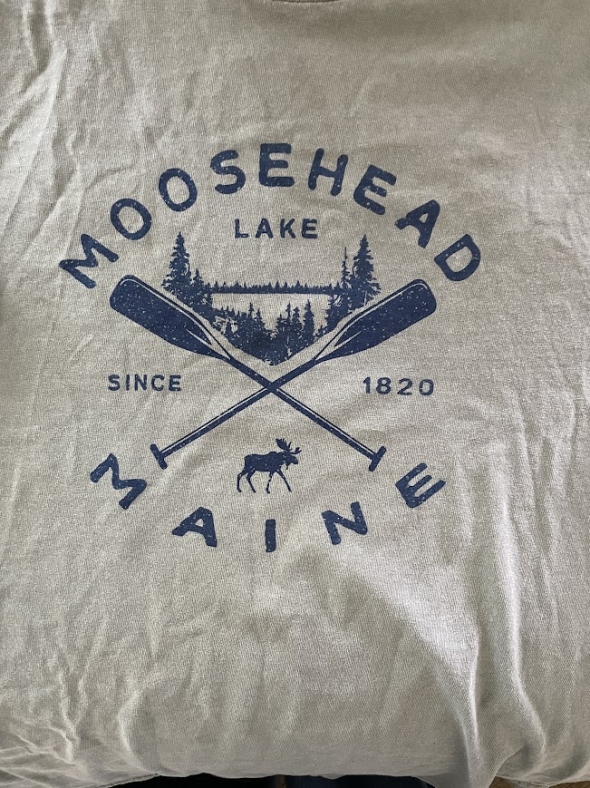 a picture of the greenish moose shirt Kalina received from Ada