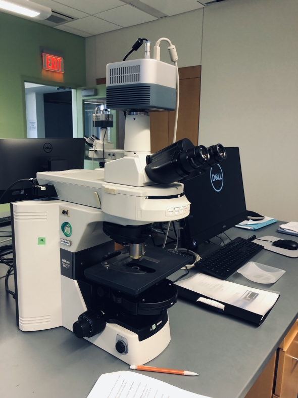 Vertical shot of light microscope in laboratory.