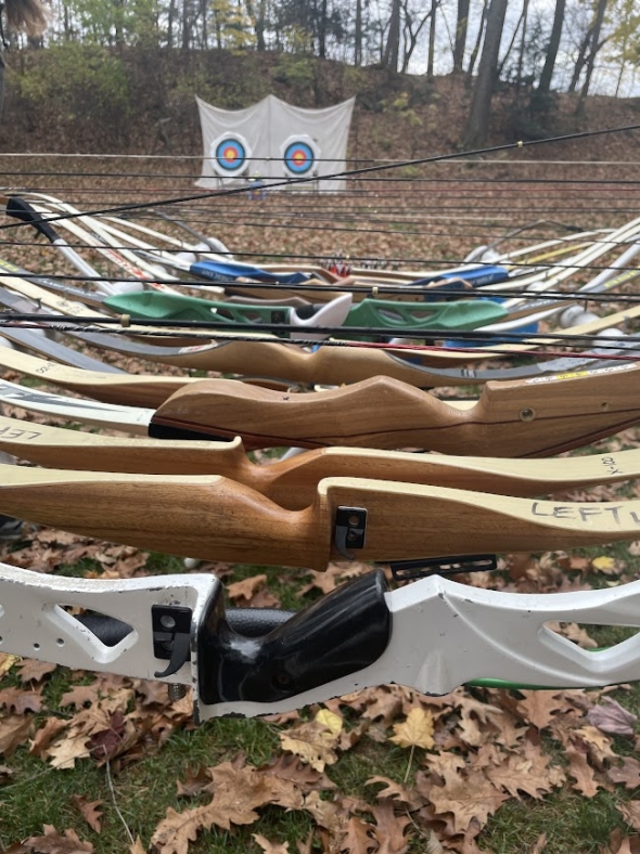 a picture of a line of bows during Kalina's archery practice
