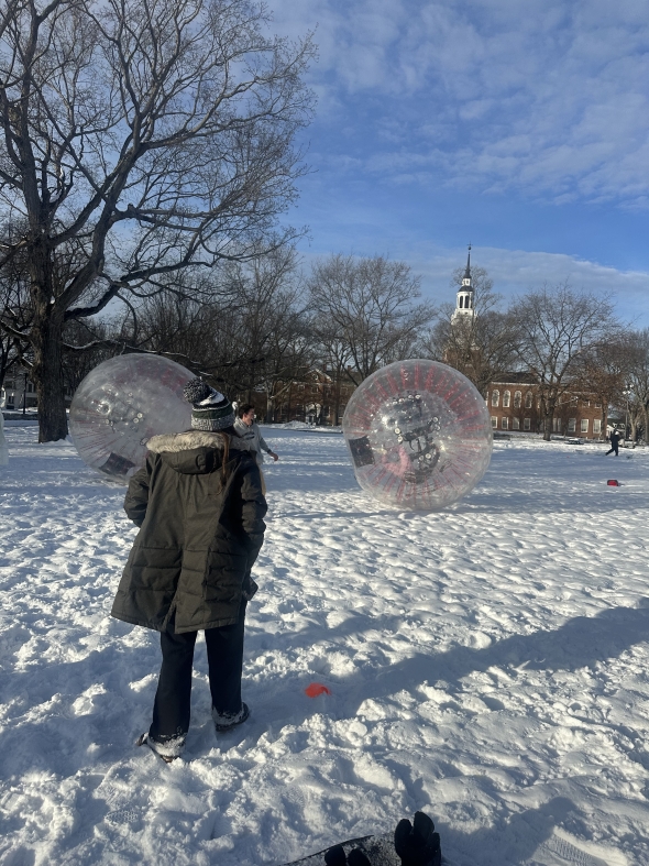 Giant clear, round hamster-looking plastic balls on the snow.