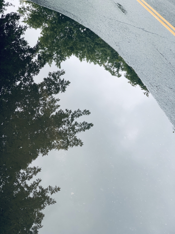 Reflective puddle