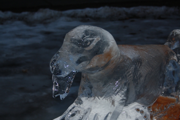 Lizard Ice Sculpture close up photo focused on the face