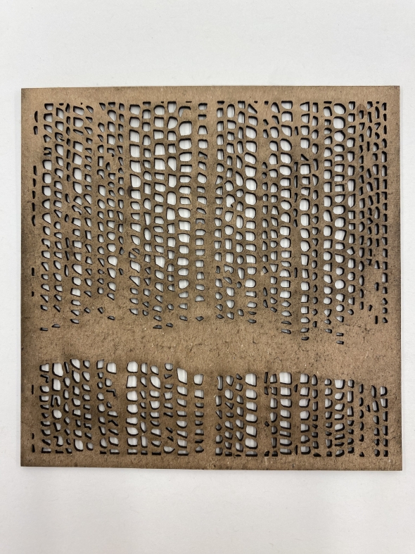 Laser-cut cardboard tiles of microscopic wood structures.