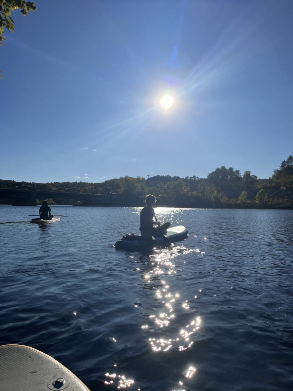 Two people on paddle boards on a river.