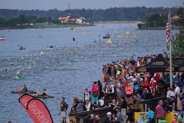 swimmers in water