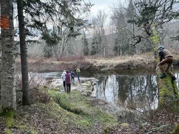 a river and a tree with a kid on the tree