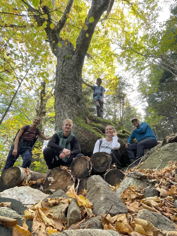 Kalina and her fellow trippees posing by an old-growth tree