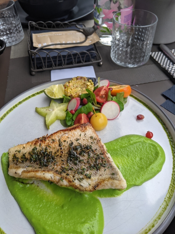 Picture of a meal at a nice Latvian restaurant - a pike fillet with pea puree and a mixed veggie salad