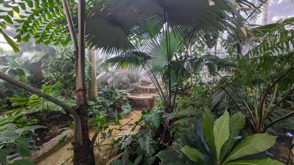 National Botanical Garden Tropics Room