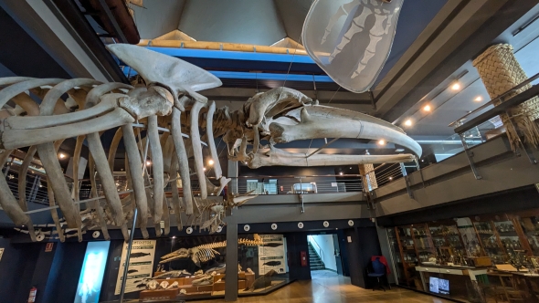Aquarium Santander 2 This is part of the museum part of the Cantabria ocean building that features a variety of species and displays.
