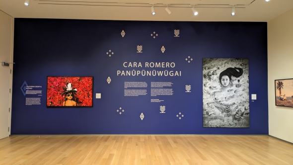This is the entryway to a large photography exhibit at the Hood Museum of Art. There are two photos on display in this picture along with an introduction to the exhibit from the curator. The wall background is dark blue with indigenous weaving motifs.