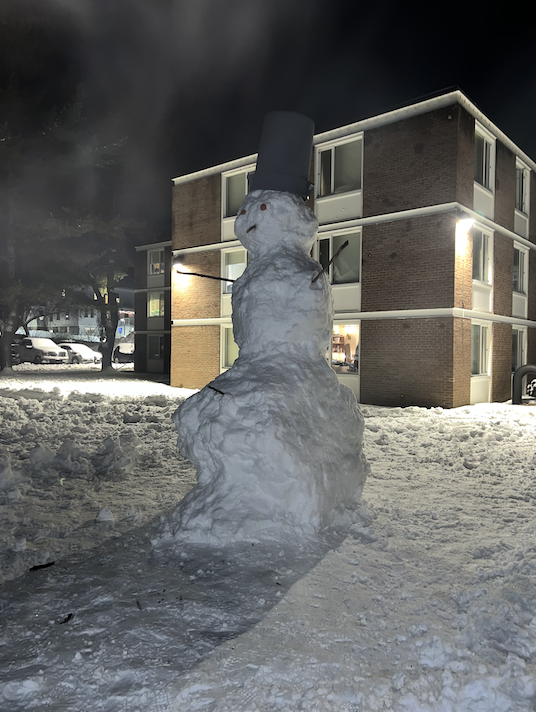 pic of snowman