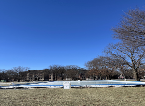 an ice rink on top of dull gray grass. A blue sky above.