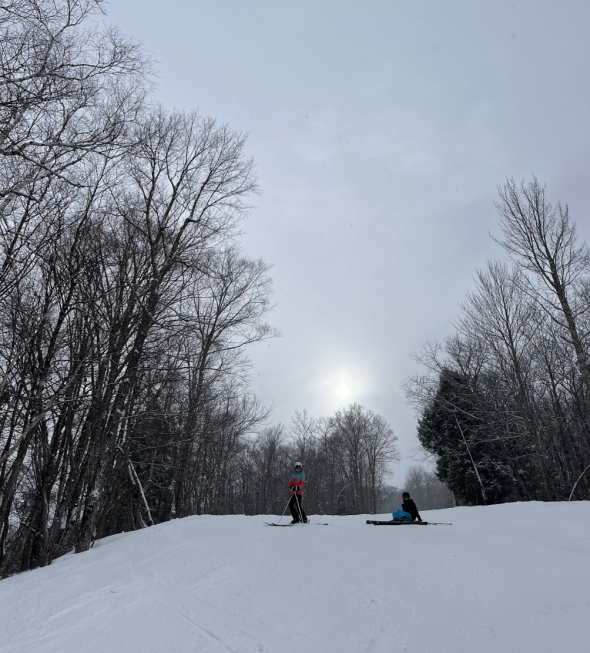 two skiers stand at the top of the snowy mountain. Trees rise up on either side of them.