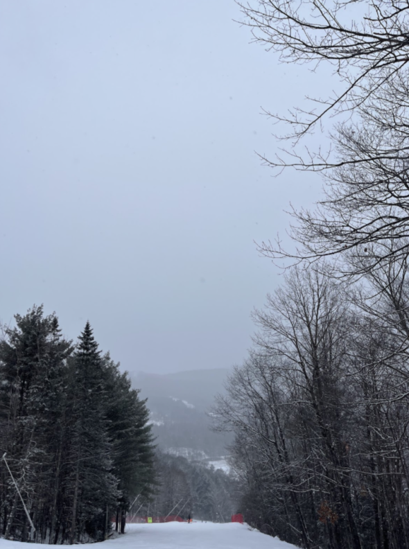 a vertical landscape photo of the ski mountain with trees on either side. The sky is cloudy.