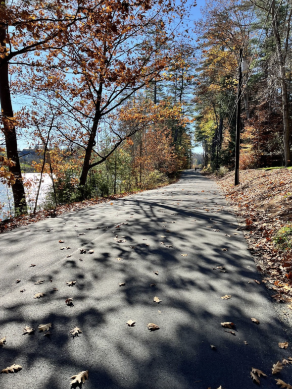 A sunny fall day near Occom Pond, taken on the road. You can see the pond in the background.