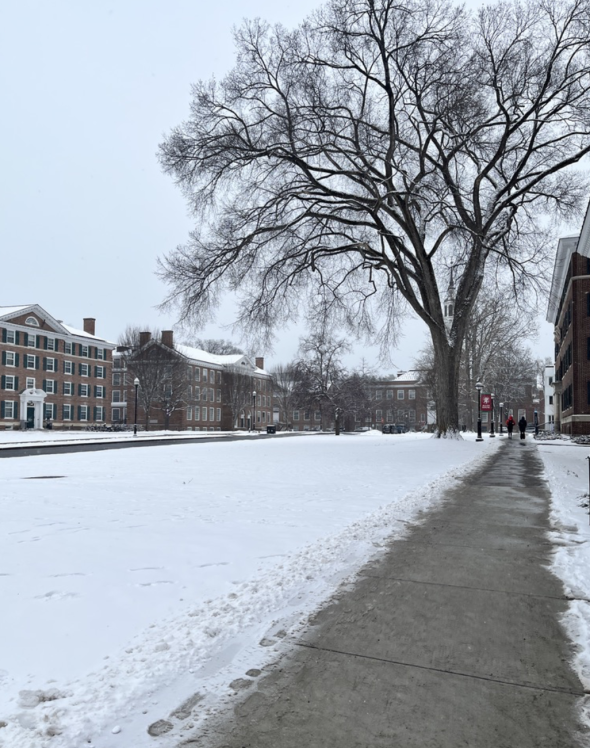 A picture looking down Tuck drive, snow covers most of the lawn outside the residence halls on either side of the street, and Baker-Berry is covered by a large tree in the background.