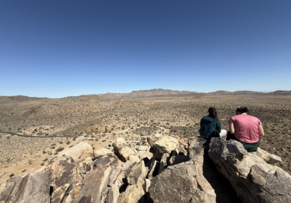 Two people meditating together at the summit of a mountain, gazing into the horizon. Below them are countless trees and boulders.