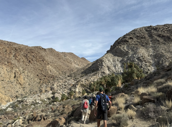 A group of hikers trailing around the rocky terrains. Standing in the distance are beautiful, tall, and luscious trees trapped between tall mountains: an oasis!