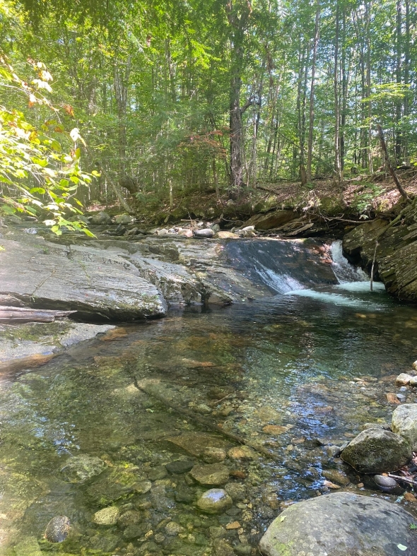 In the foreground, there is a pond, with water that is so clear that you can see the rocks at the bottom. In the background is a little ledge, where the water is running down a rock into the pond, and there are trees surrounding the banks of the pond.