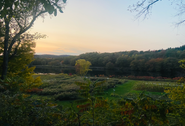 A vast green farm takes up the bottom half of the image. Above it is a river, and bound the river bed is a tree line. A blue/orange sky takes up the top half of the image. It is clearly sunset.