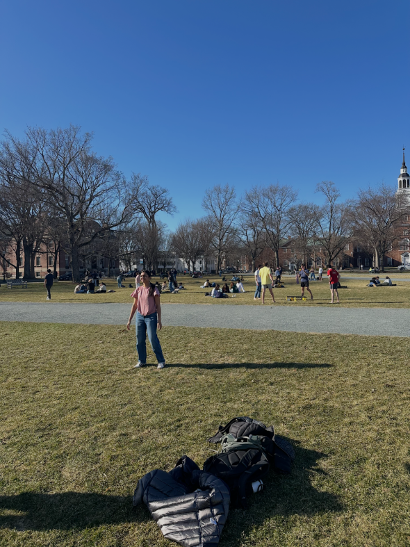 People playing games on the grass.