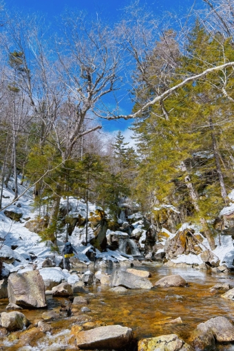 A beautiful photo of a river and snow and pines