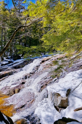 A beautiful waterfall in the woods