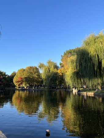 Bc pond