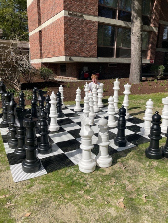 Giant Chess Board