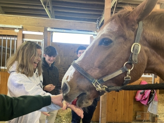 Feeding apples! Blog_4032 × 3024_Apple