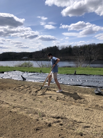 A photo of me using the broad fork to aerate the soil.