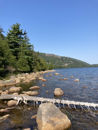 A beautiful view from a hike