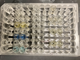 a 96-well plate with colorful solutions