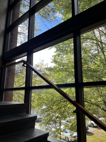 A photo taken in the French stairwell, showing the large windows and view of trees outside.