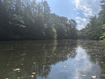 Mink Brook stream