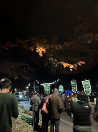 People stand on the sidewalk while the trees in front of them are dark and slightly lit up with the glow of lamplights. People process in the street holding green banners up high. 
