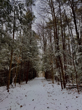 wooded hike trail covered in snow
